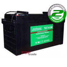 Аккумуляторная батарея EverExceed ST-12120